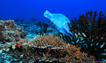 Great Barrier Reef anti-dumping campaign, influencer and media strategy partnership with the Australian Government by Content Marketing Guru